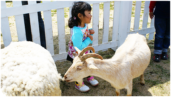 移動ふれあい動物園 (2/2)